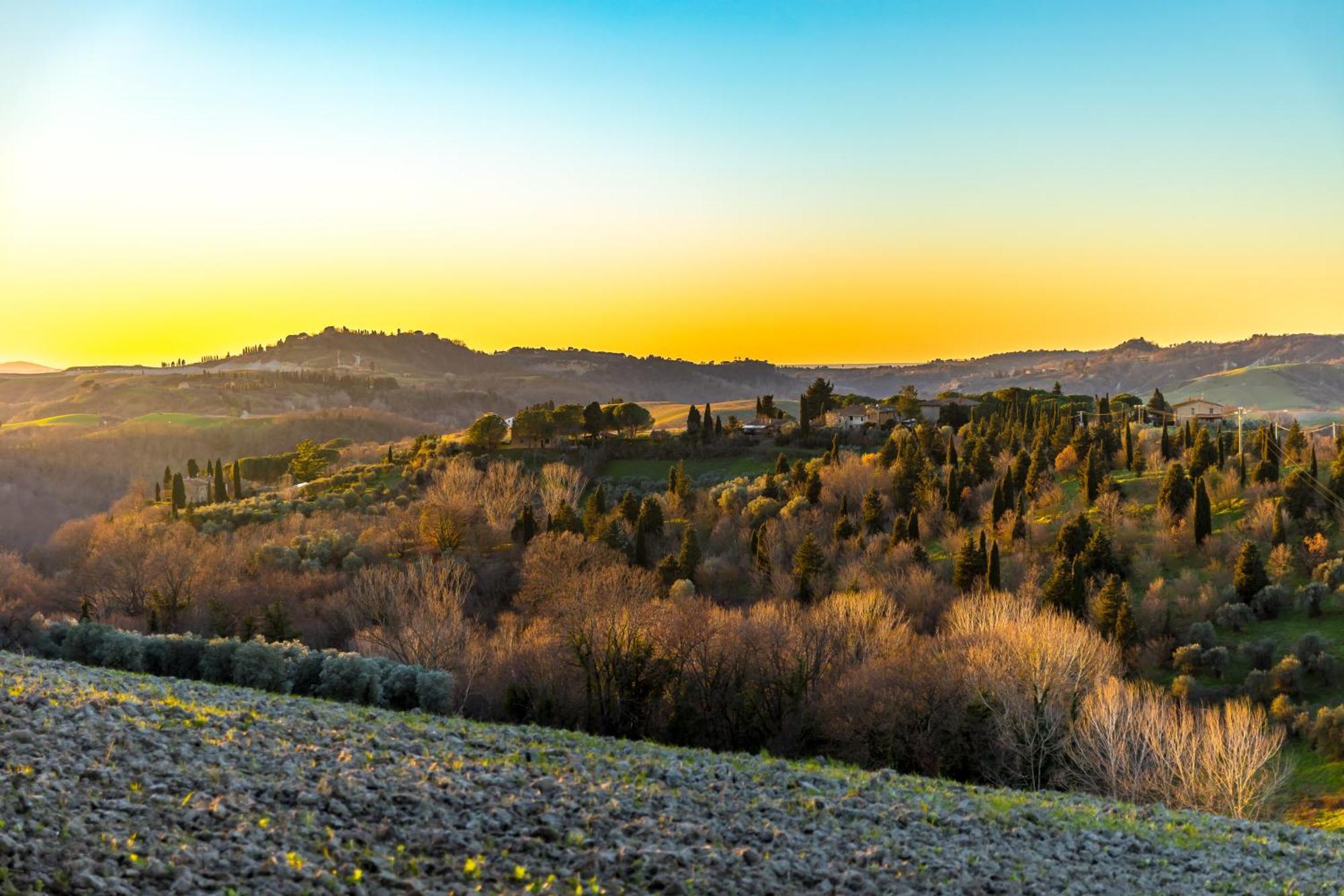 Вилла Borgo Il Poggio Agritourismo Монтайоне Экстерьер фото