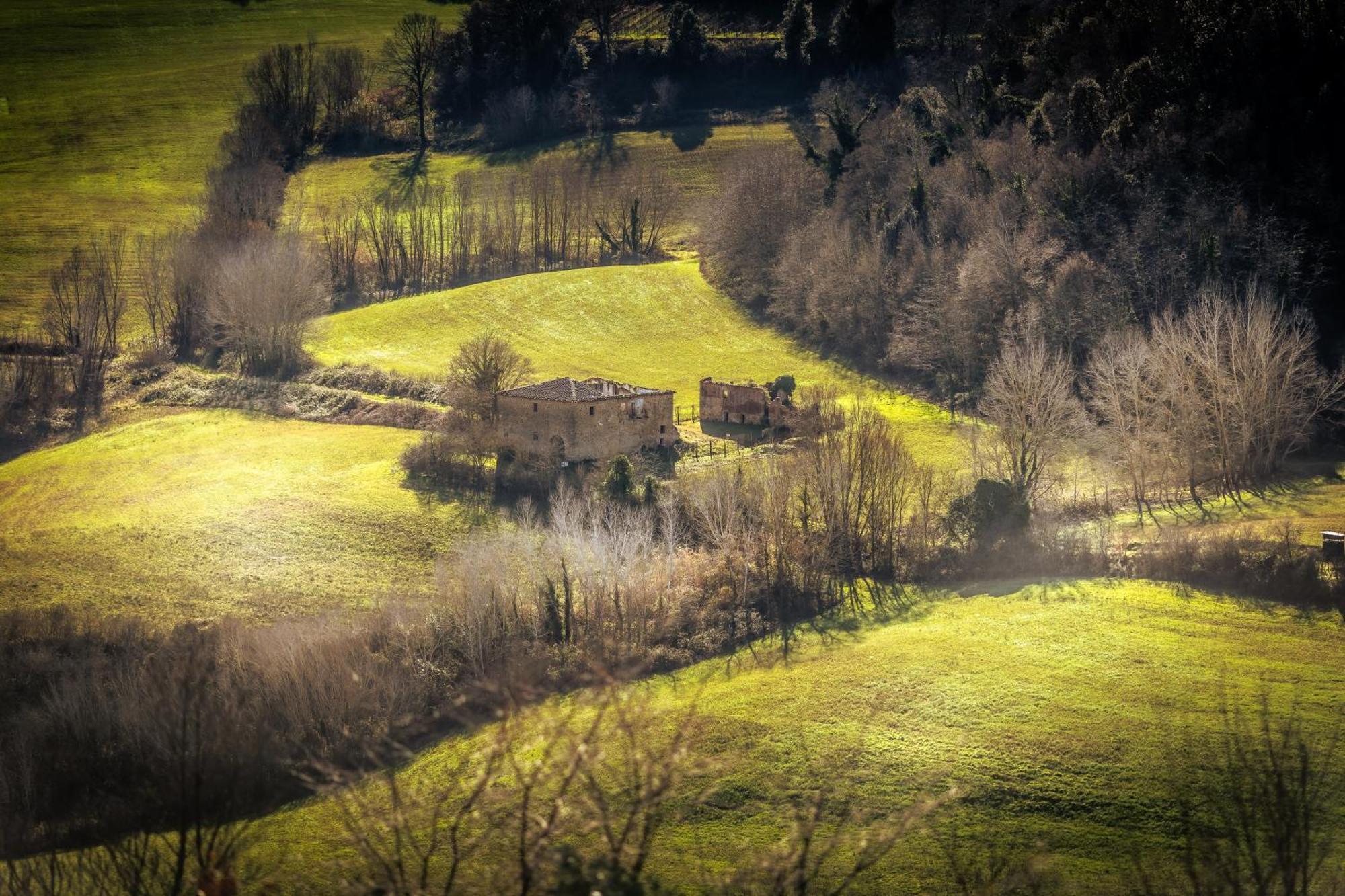 Вилла Borgo Il Poggio Agritourismo Монтайоне Экстерьер фото