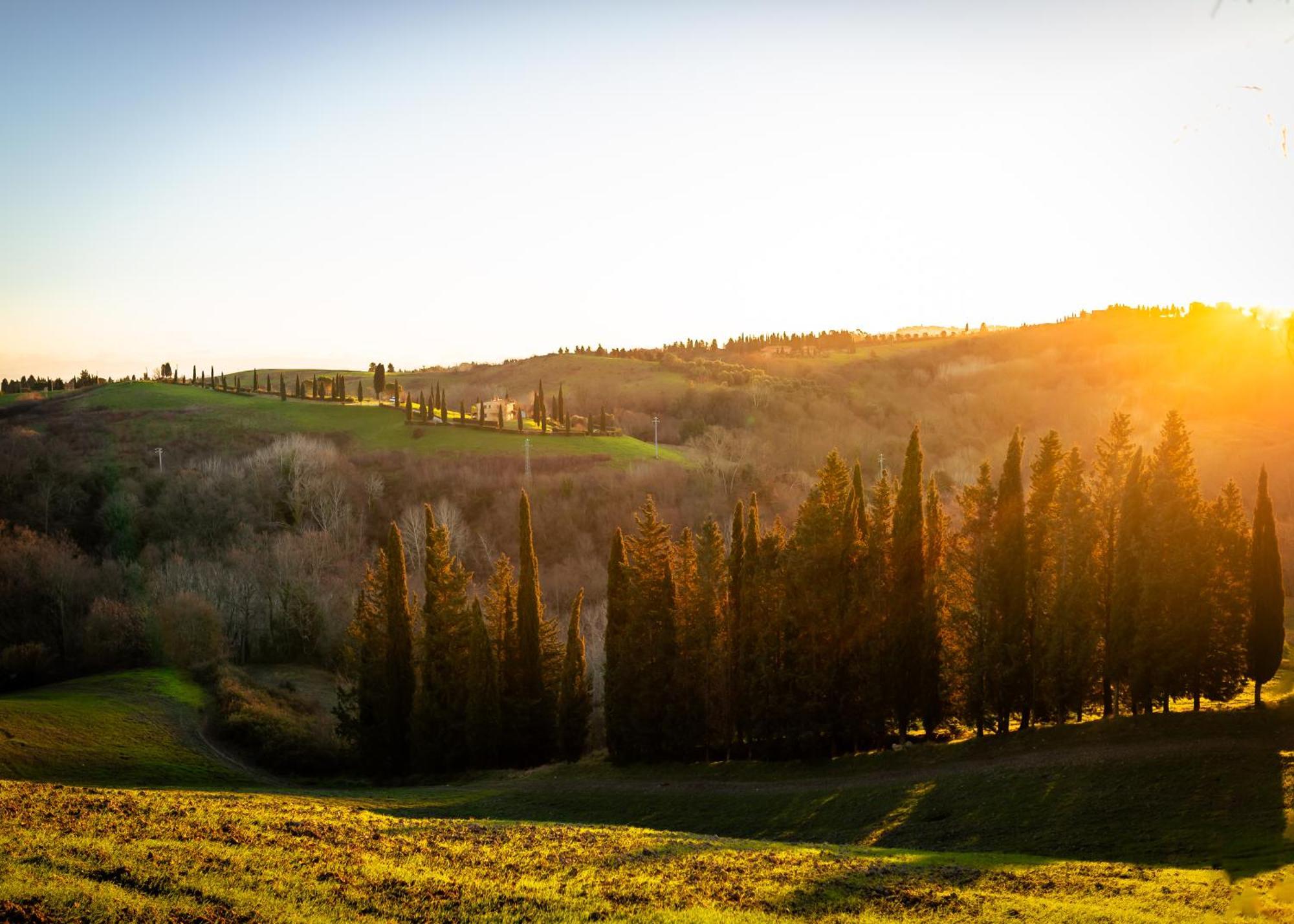 Вилла Borgo Il Poggio Agritourismo Монтайоне Экстерьер фото