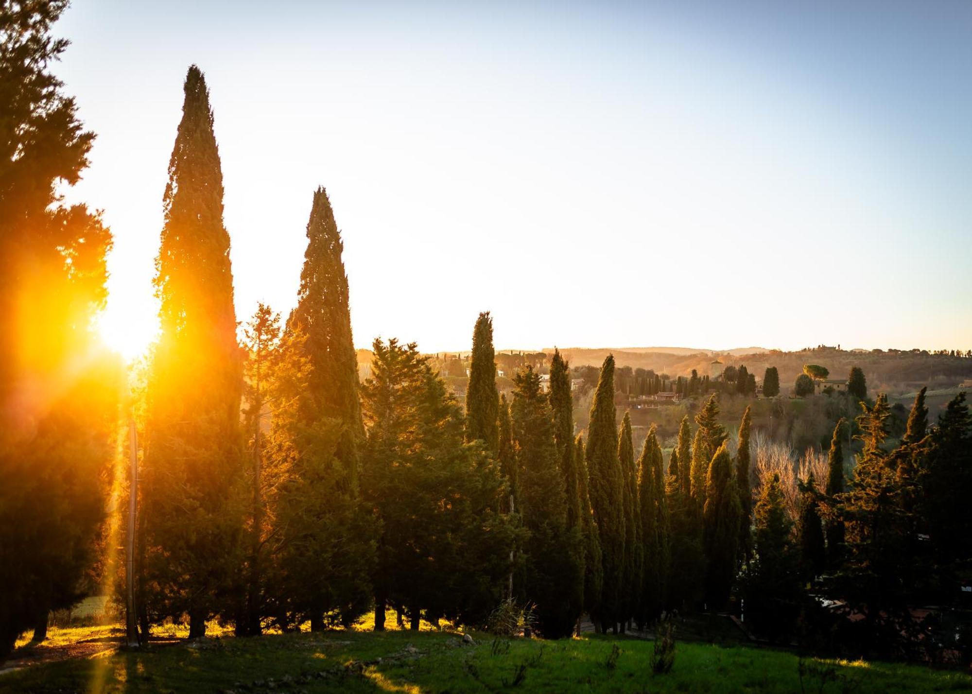 Вилла Borgo Il Poggio Agritourismo Монтайоне Экстерьер фото